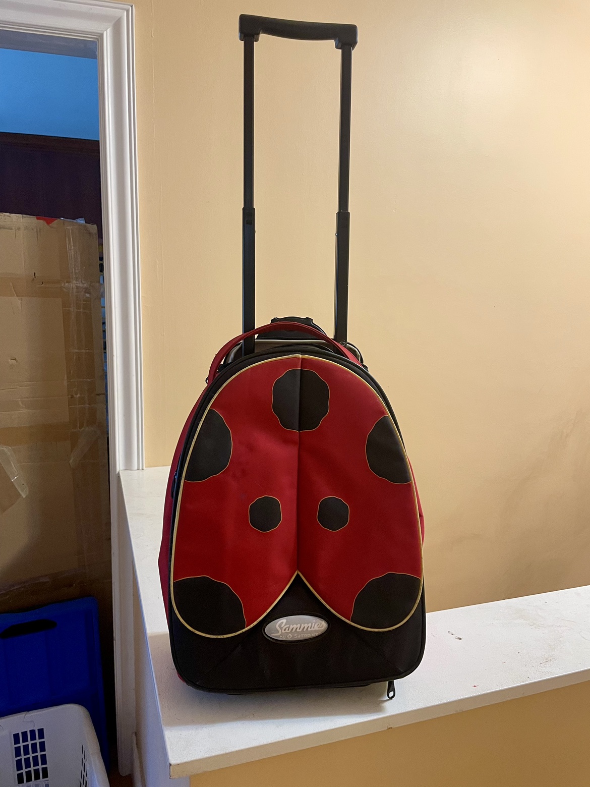 Sammie's Samsonite Child's suitcase