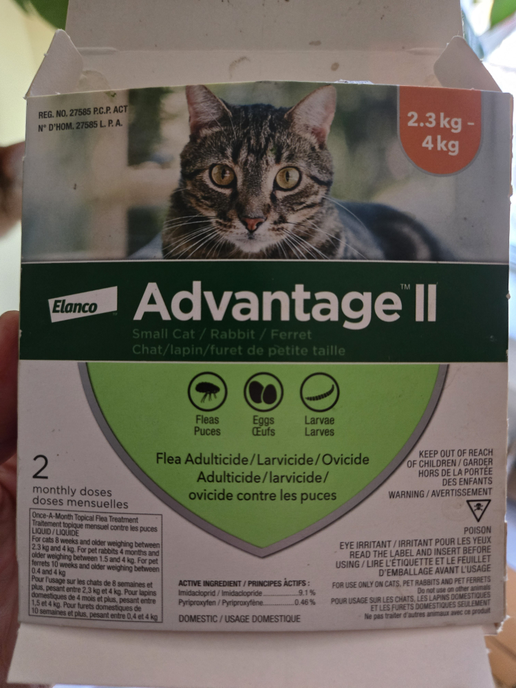 Advantage anti-flea treatment for small cat (one dose)