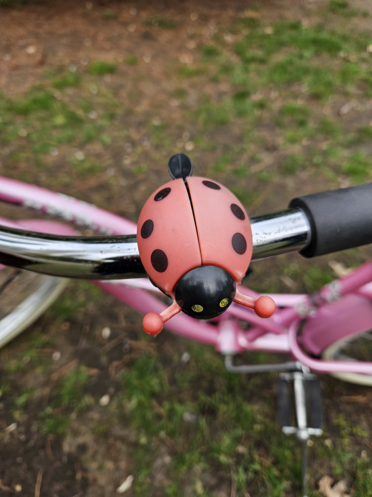 Cruiser Bike image indicator(3)