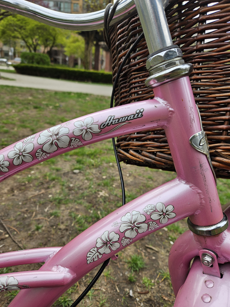 Cruiser Bike image indicator(5)