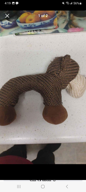 Dog Chew Toy #freecycle
