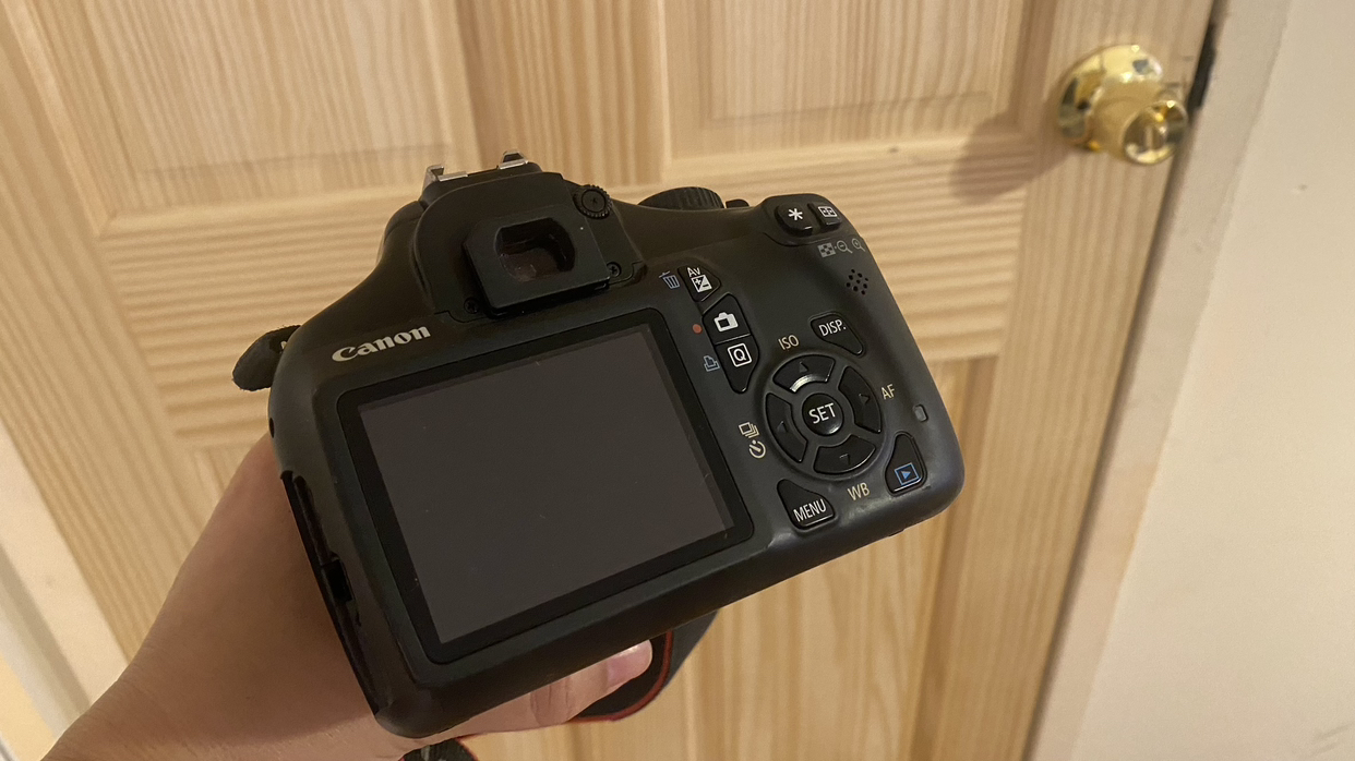 Canon camera - photo 4