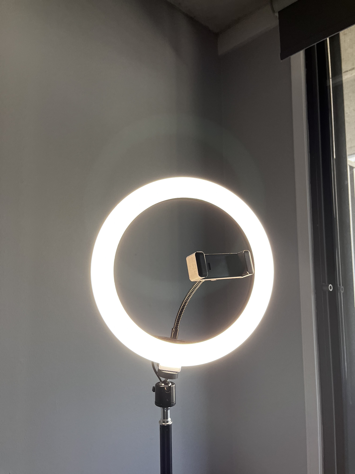 Selfie Ring Light with Phone Holder - photo 3