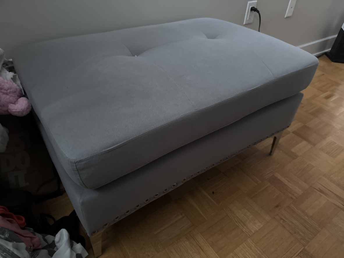 Sectional Sofa - moving sale image indicator(2)