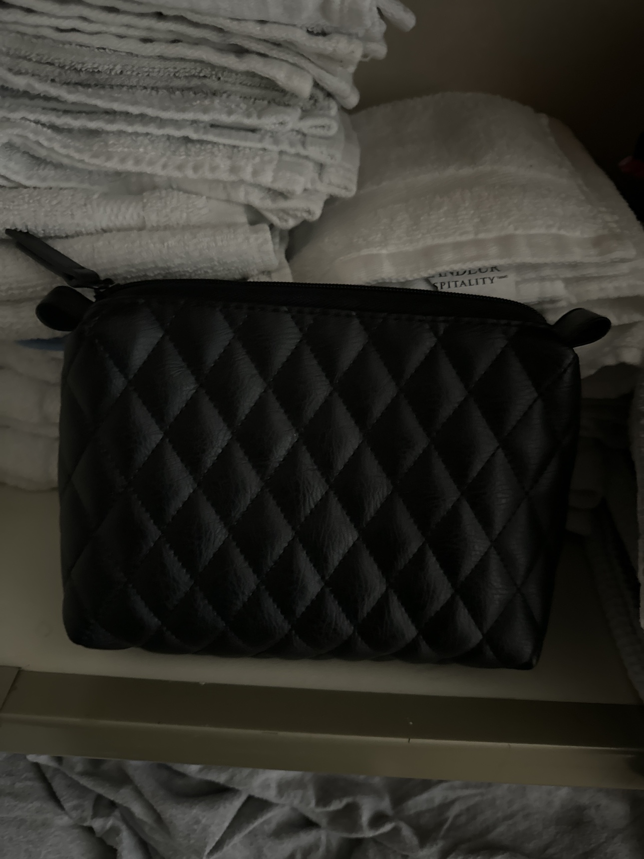 Makeup Bag