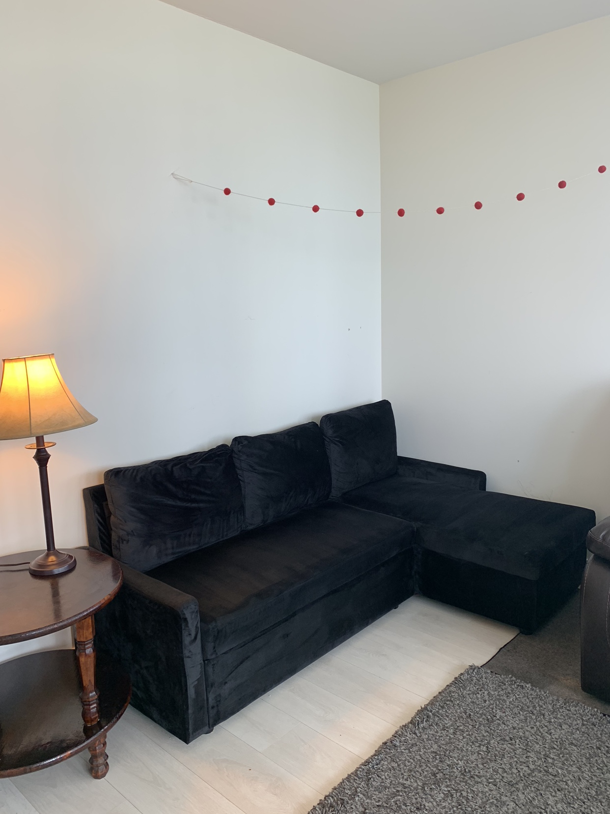 Black sofa cum bed
