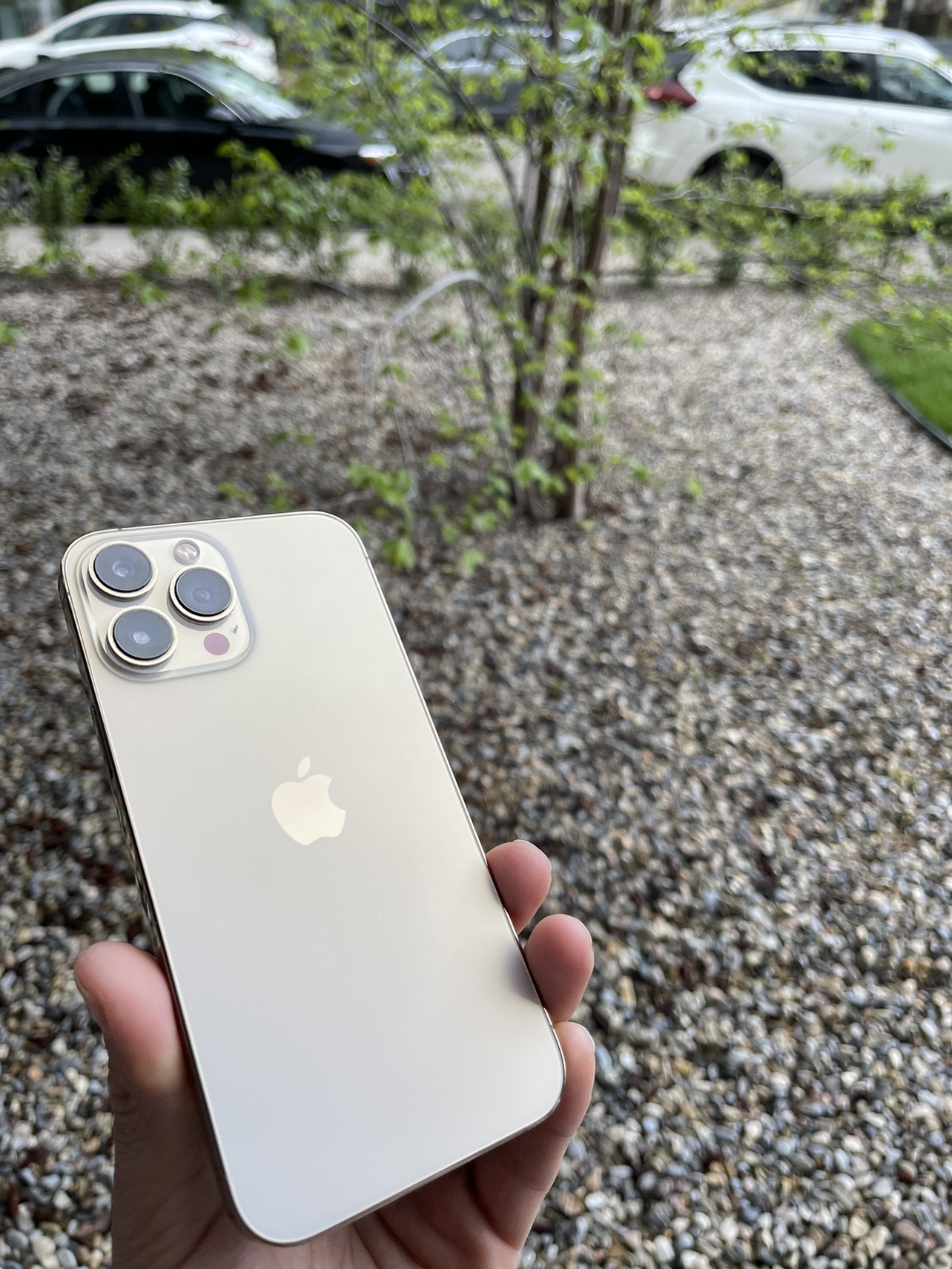 iPhone 13 Pro Max 128gb Mint condition