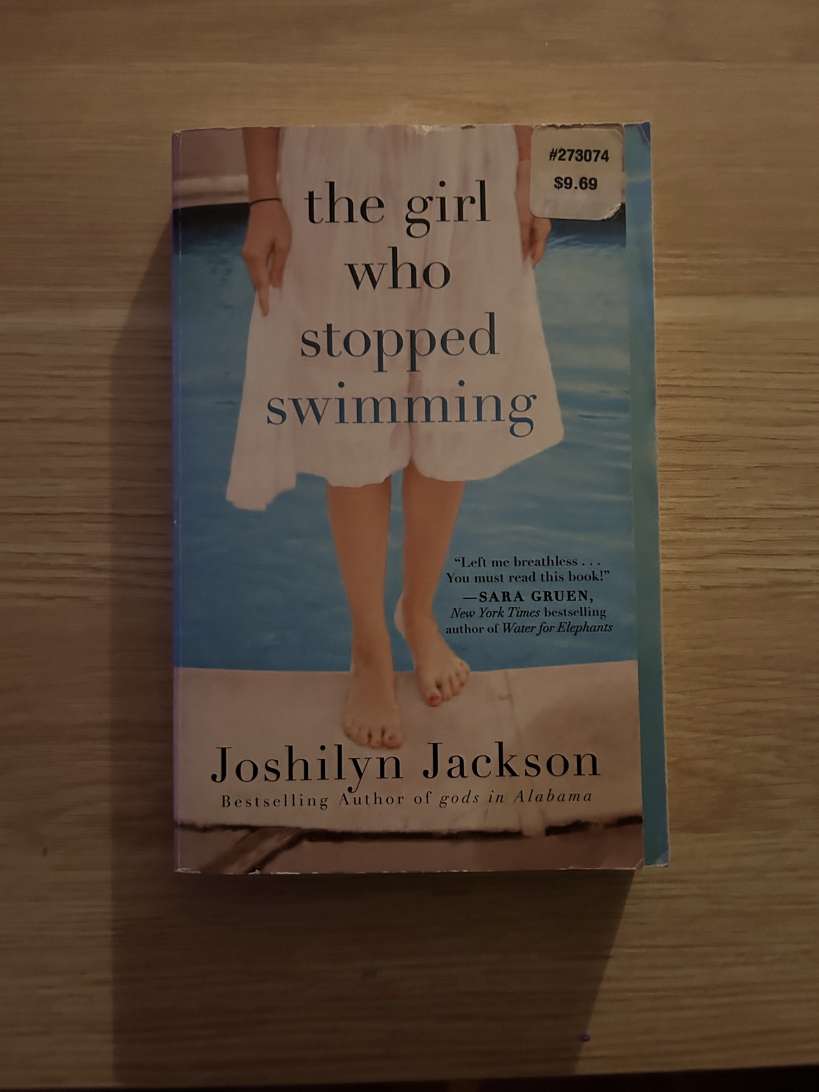 The girl who stopped swimming novel