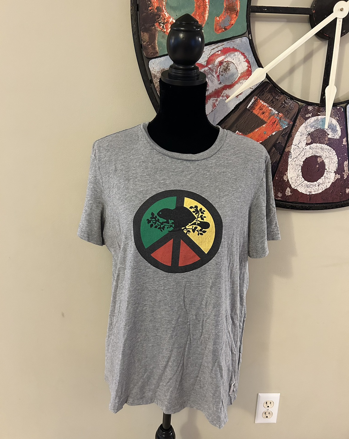 ✨✨Grey Roots T-Shirt Size M image indicator(2)