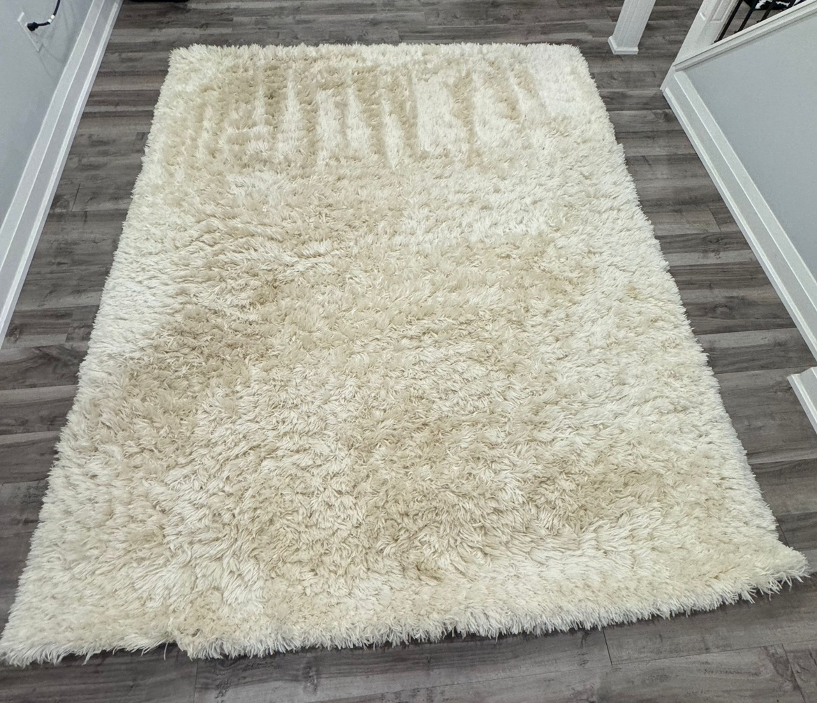 Shag Area Rug Ivory - photo 2