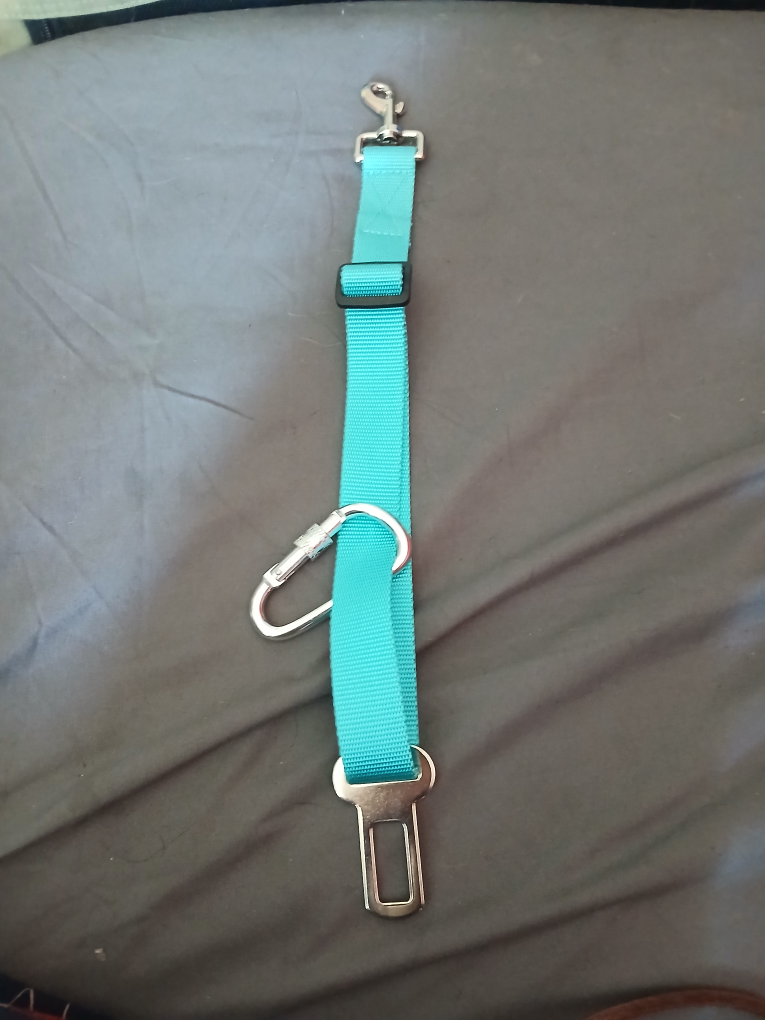 pet seatbelt