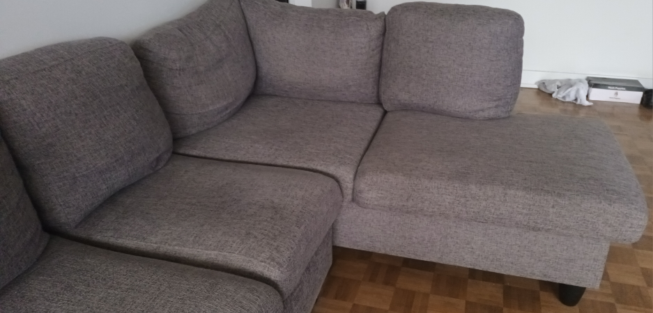 Sofa with Chaise (Urgent - Move Out Sale) - photo 2