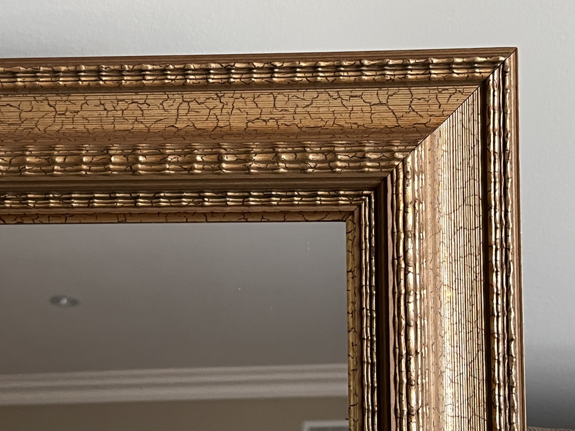 Gold frame mirror image indicator(2)