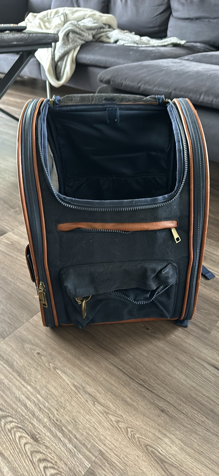Cat backpack