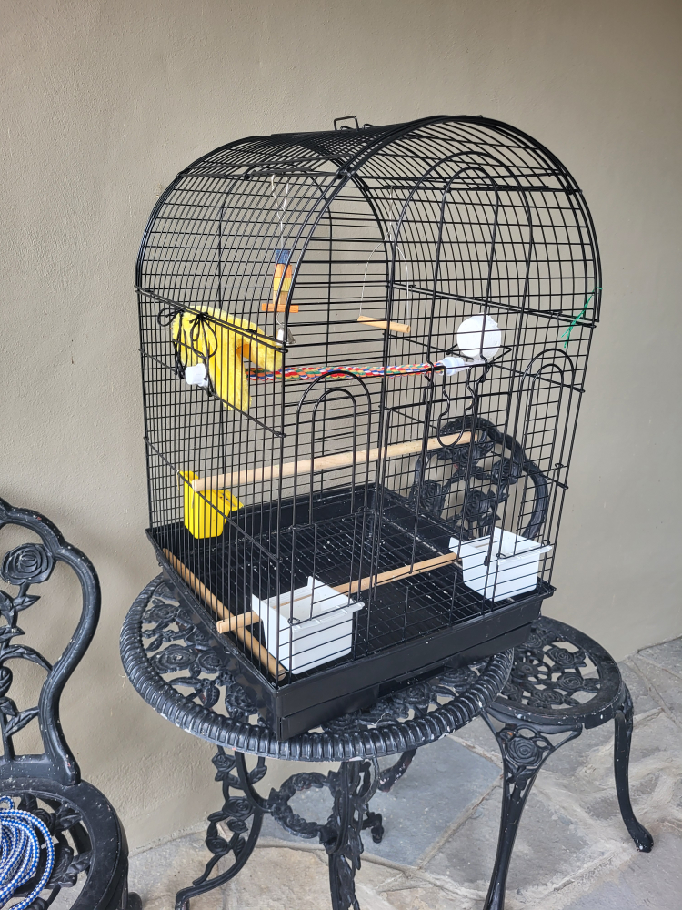 bird cage thumbnail