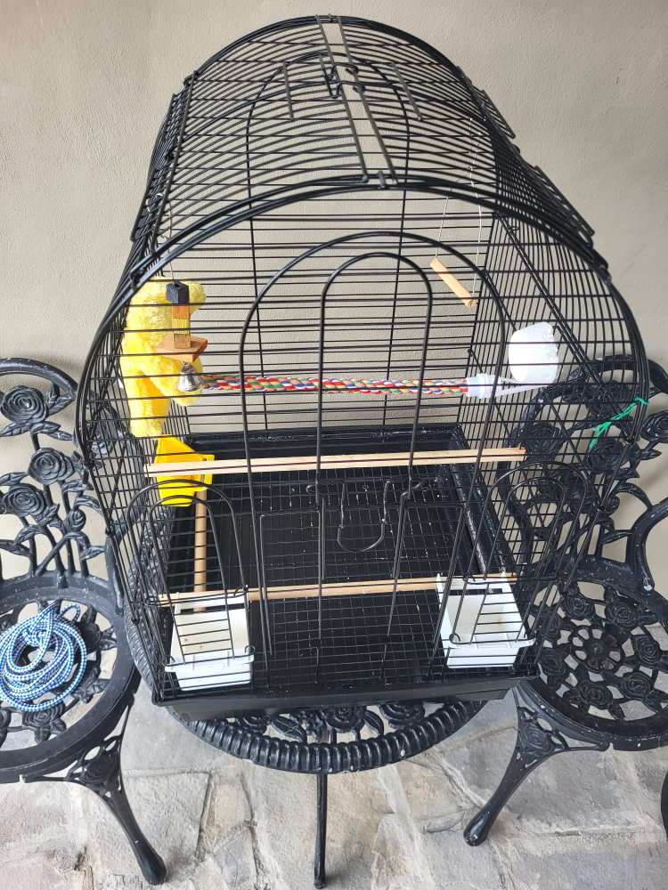 bird cage image indicator(3)