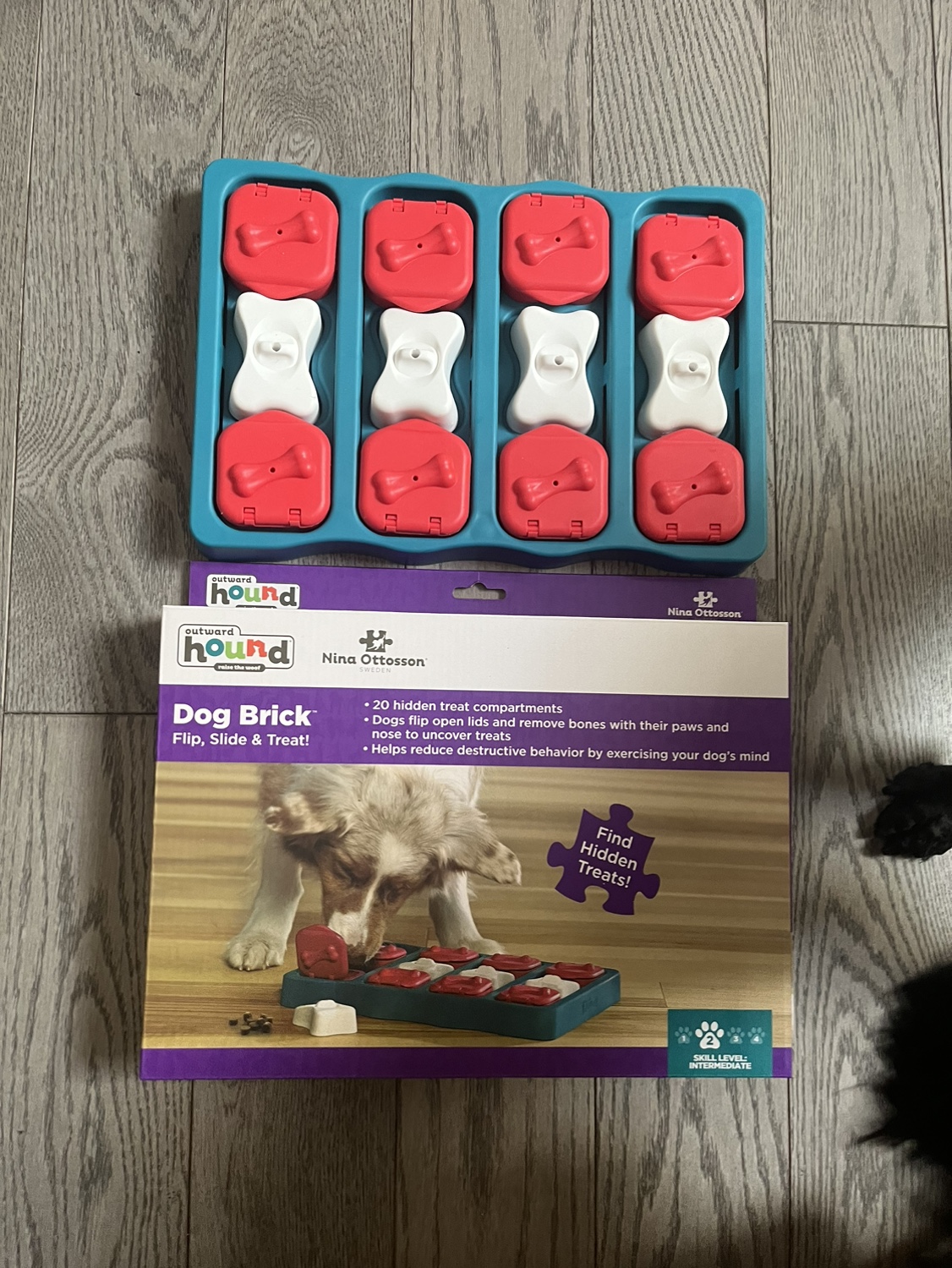 Nina Ottosson by Outward Hound Dog Treat Puzzle Dog Toy