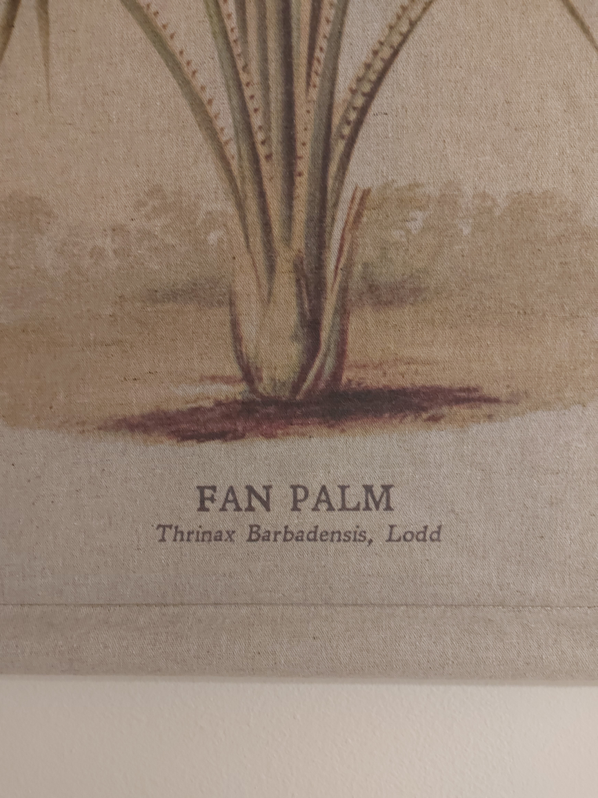 Palm Plant Printed Canvas Art image indicator(3)