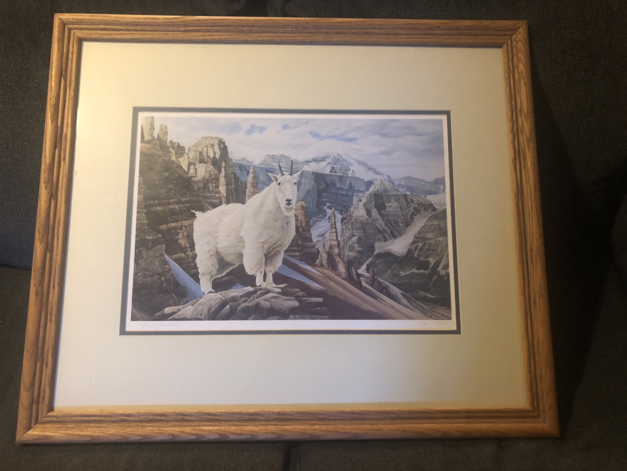 Paul Larrabee Mountain Goat Print. Signed & Numbered