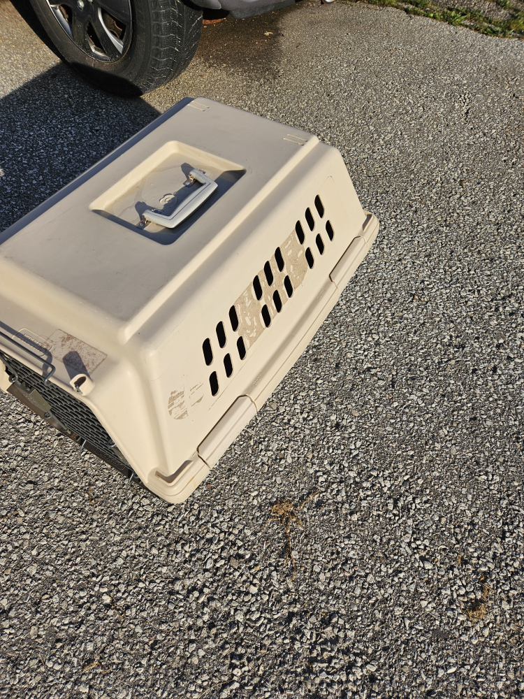 pet carrier image indicator(4)