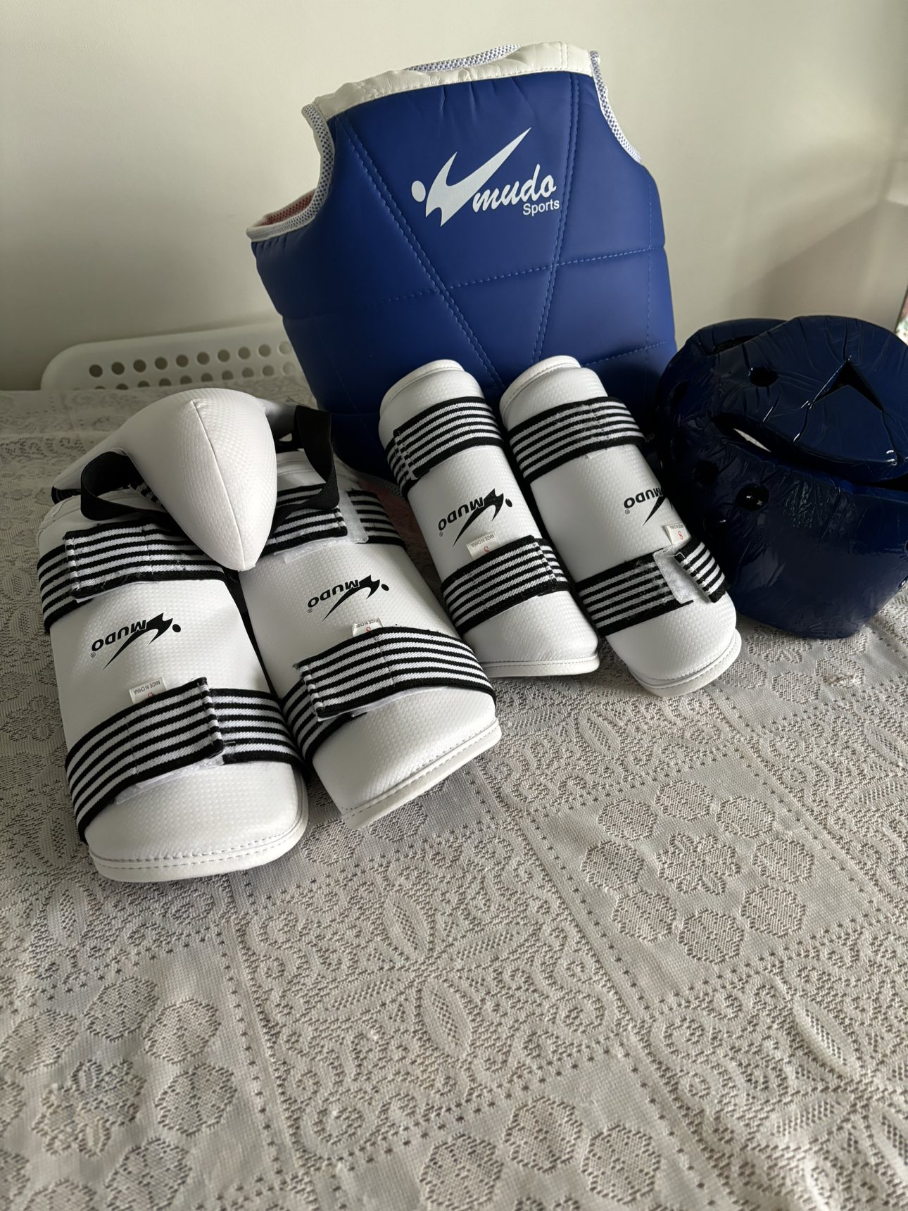 Taekwondo Protective Gear set