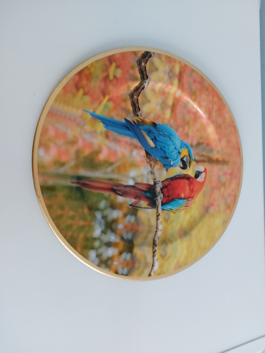 Decorative  Plate image indicator(2)