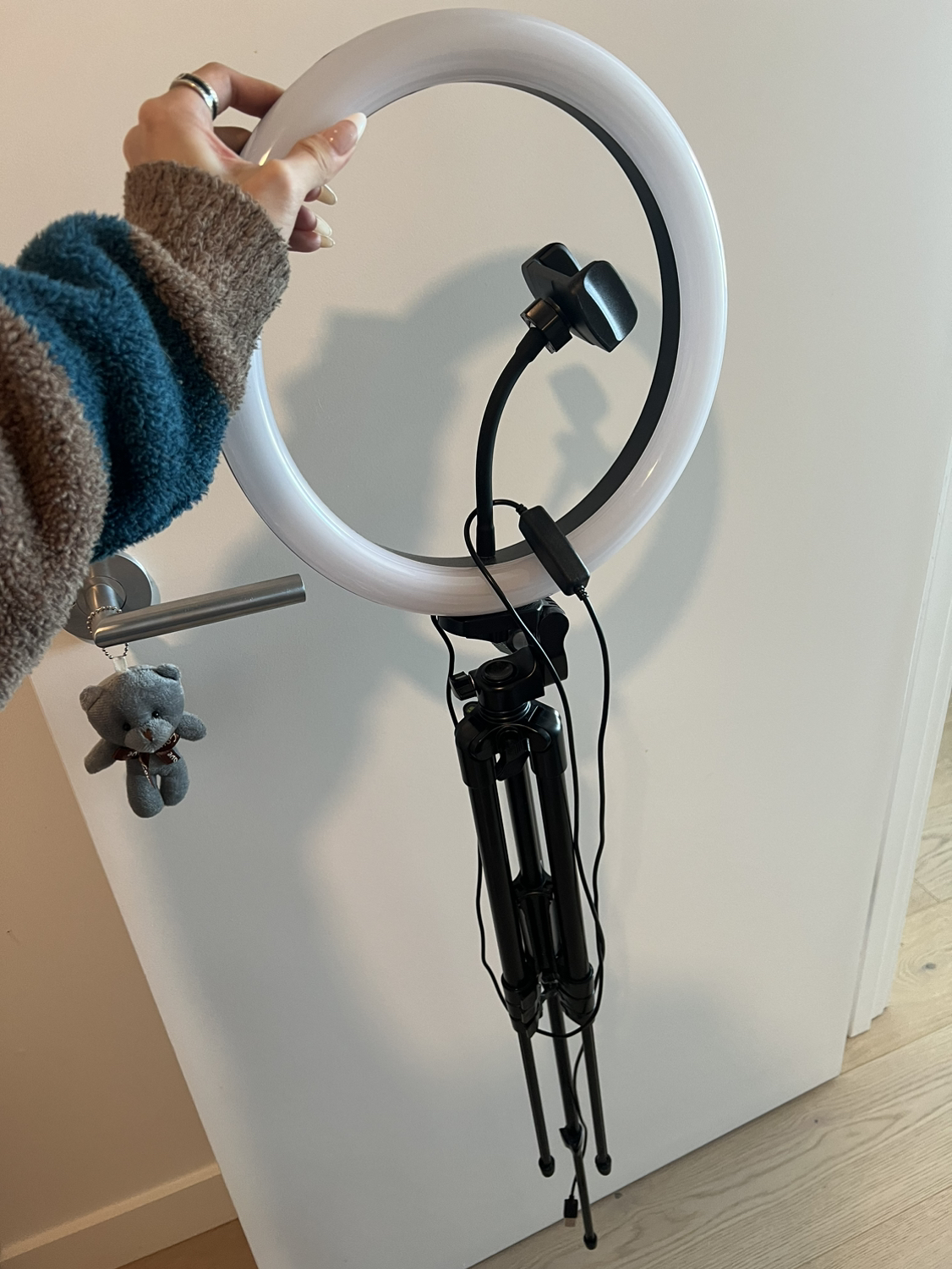 12‘‘ Ring Light （3 light colors） - photo 3