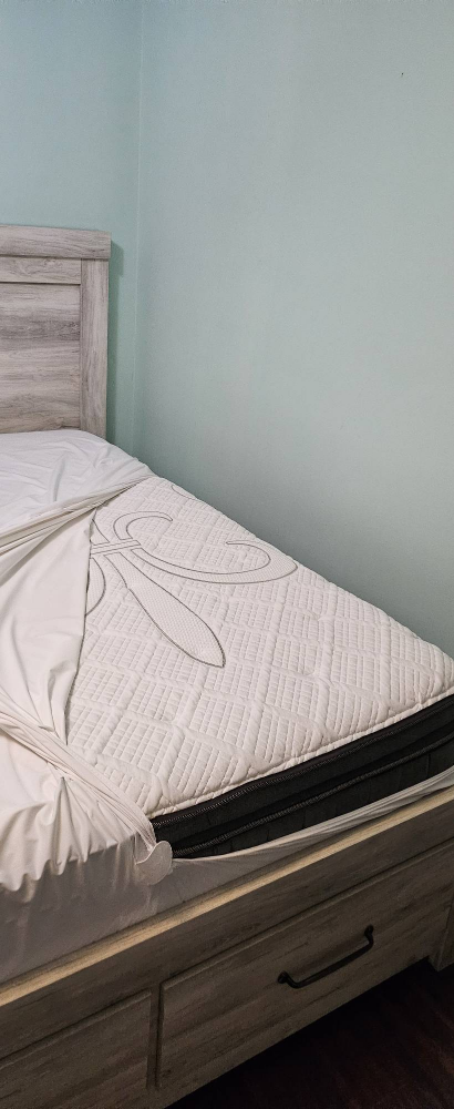 Moving Sale: Stearns and Foster Queen Mattress - photo 5