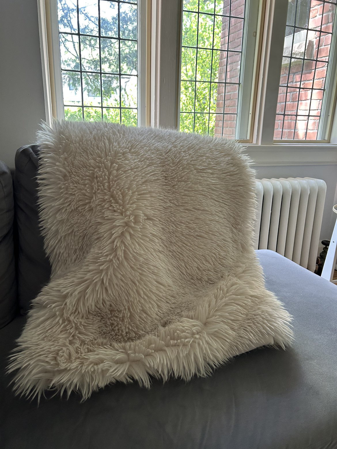 Potterybarn Luxe Faux Fur Throw Blanket - photo 4