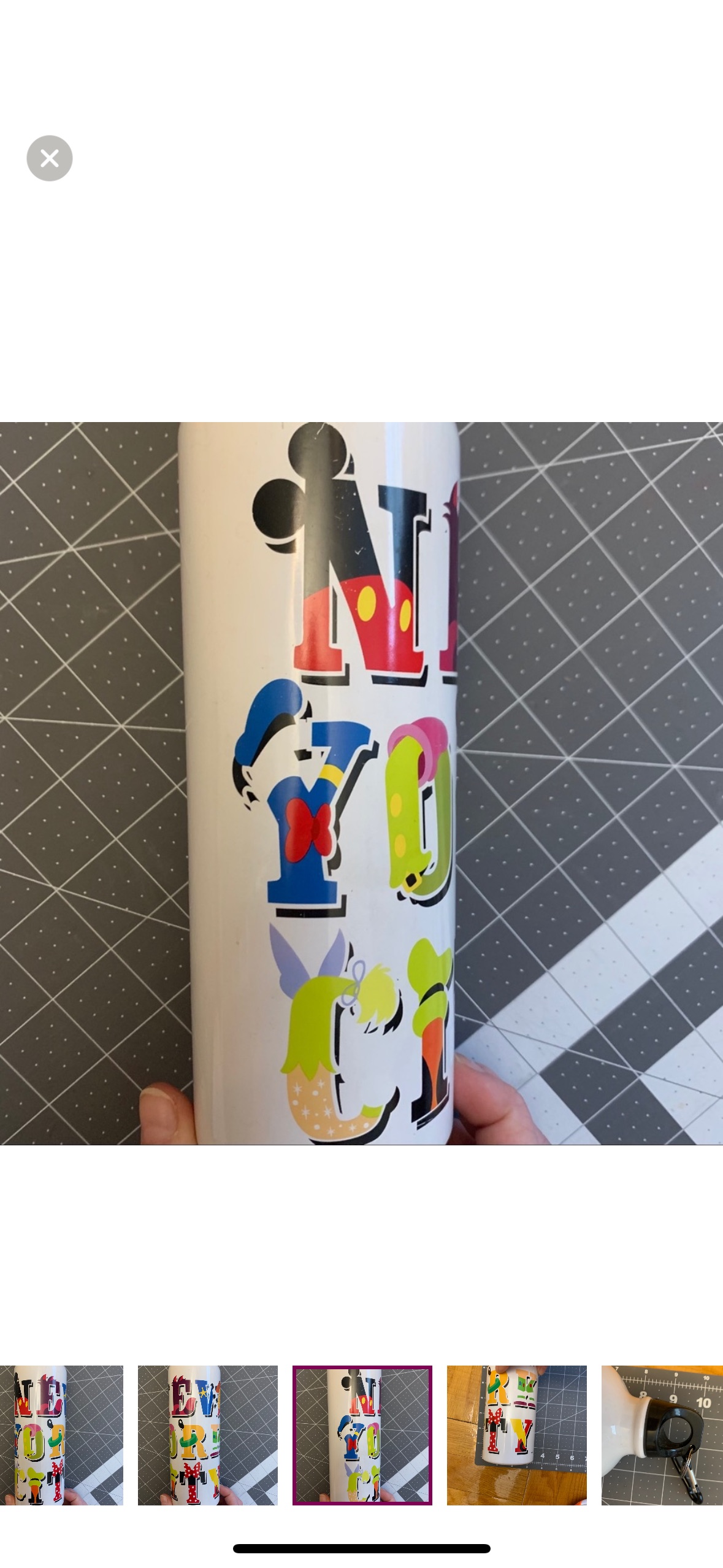 Disney New York City steel thermos image indicator(8)