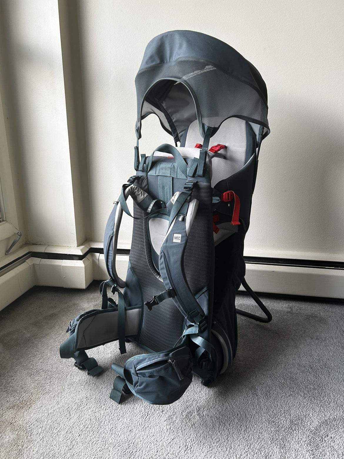 Toddler Hiking Carrier
