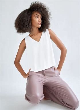 Babaton (Aritzia) Murphy Blouse