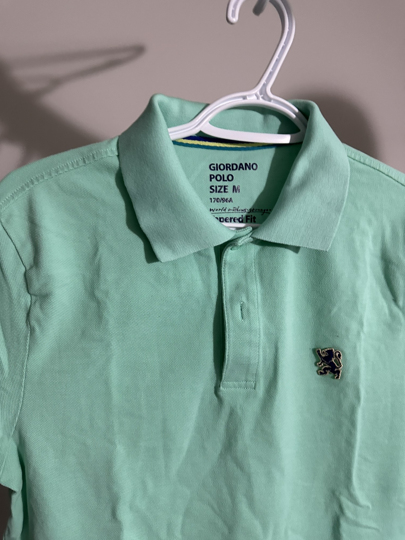 Giordano Men Shirt