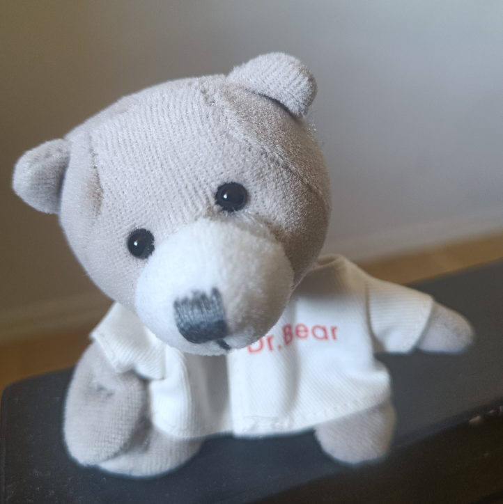 Dr. Bear Soft toy #freecycle thumbnail