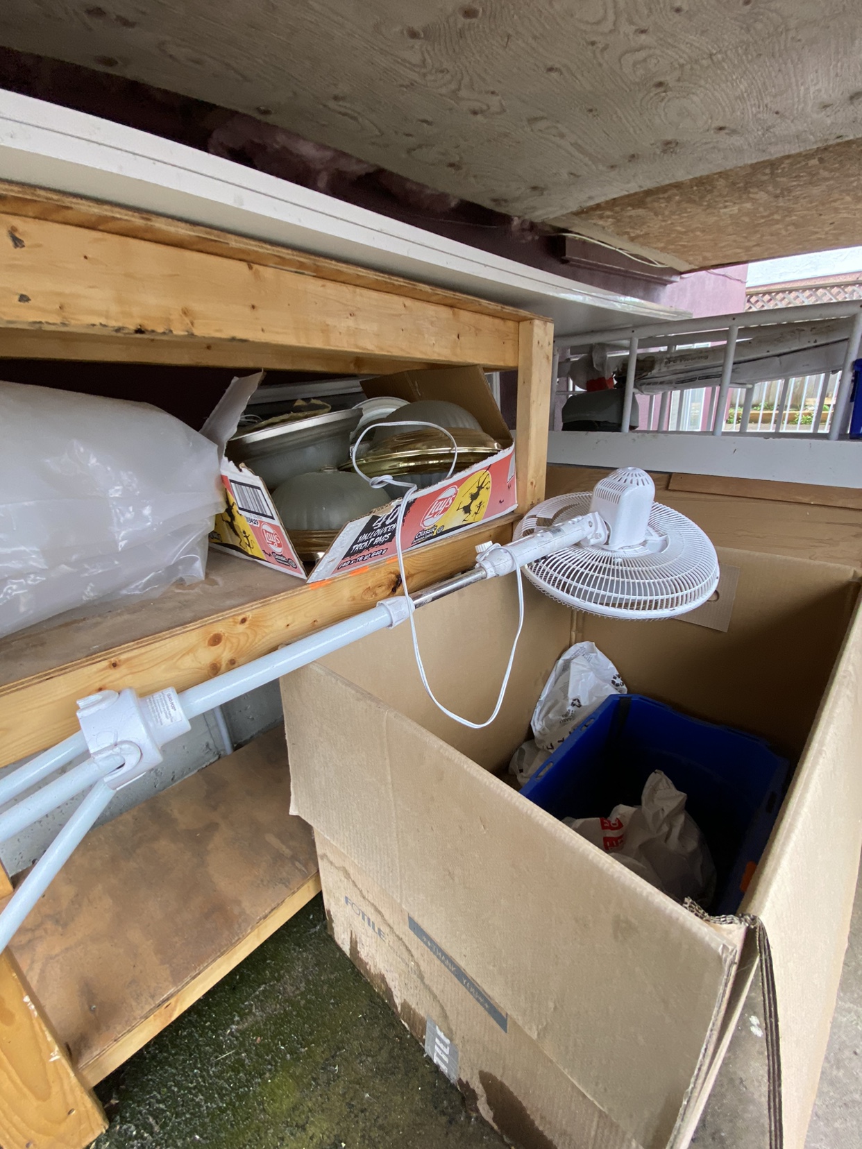 Free working pedestal fan May #Freecycle