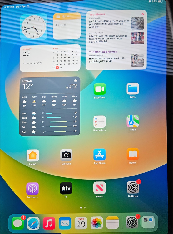 Apple Ipad 10 Wifi 64GB - photo 3