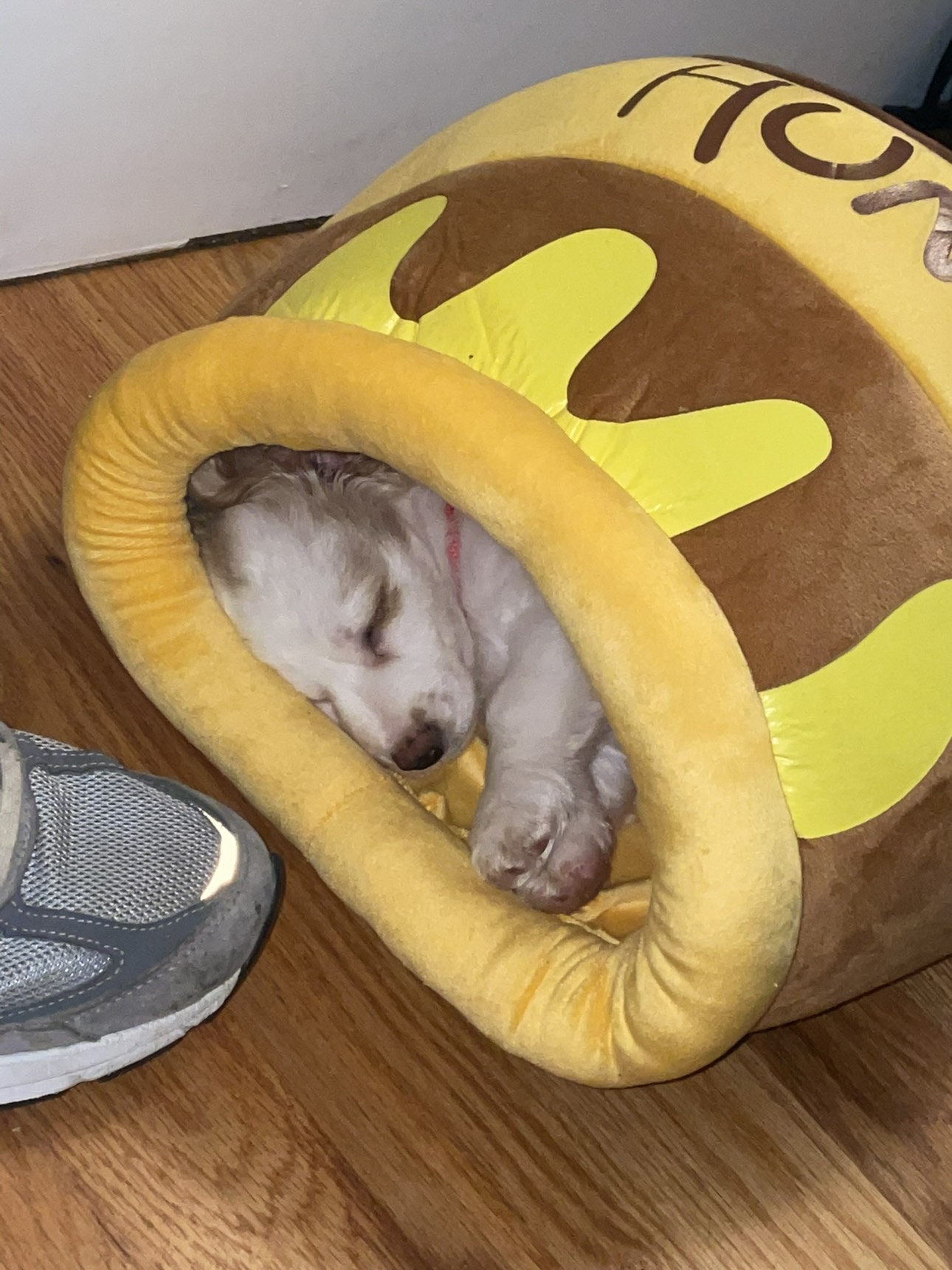 Pet bed - photo 5