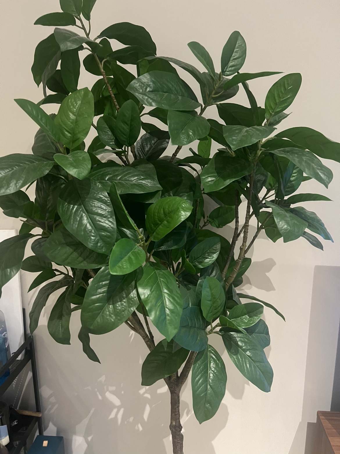 Artificial Potter Plant | ~ 180cm Tall - photo 2