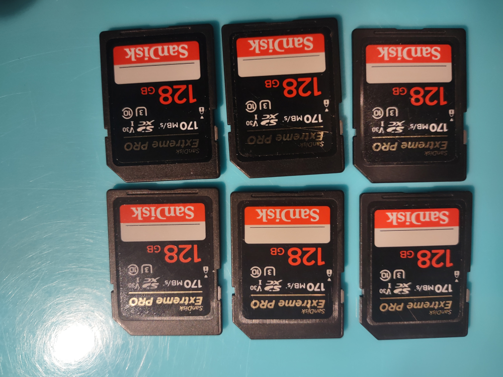 128 gb SD cards image indicator(2)
