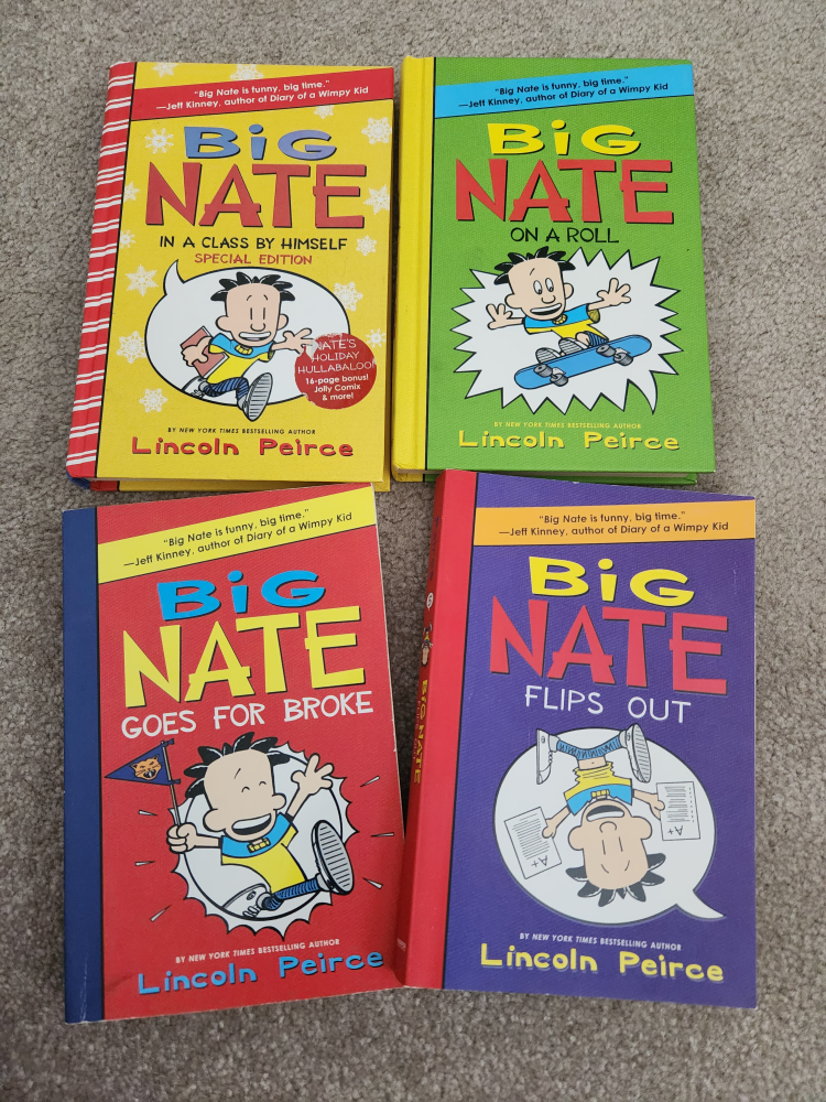 big Nate books image indicator(2)