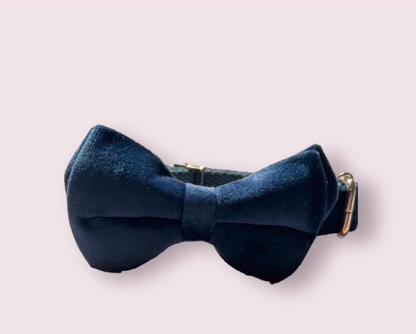 Royal blue Pet collar love dream large