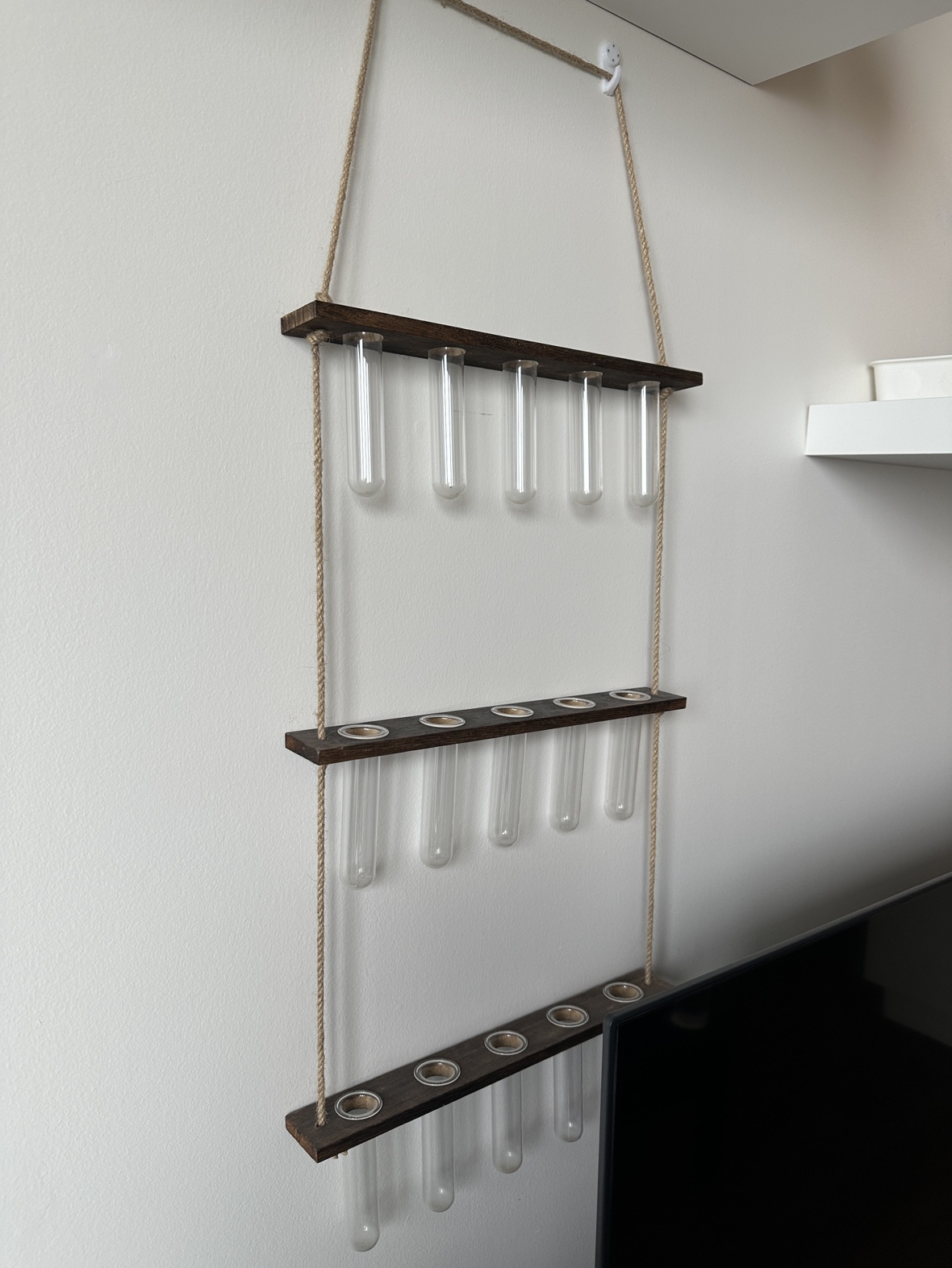 Wall hanging plant propagation station thumbnail