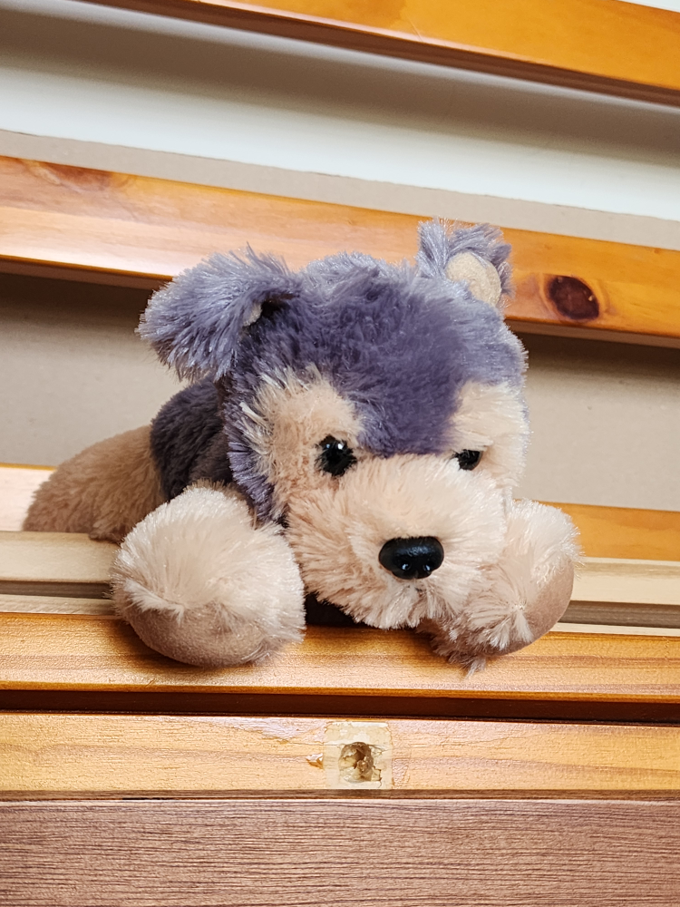 Cute puppy Stuffy thumbnail