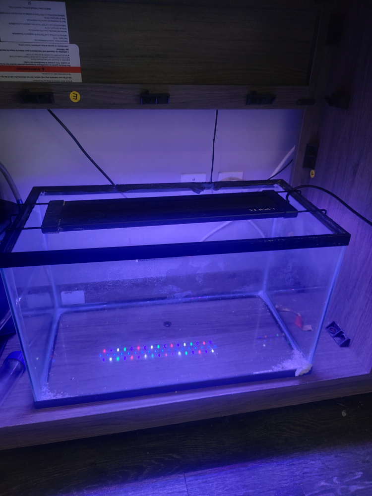 10 Gallon Aquarium with LED Lights (7 color) - photo 2