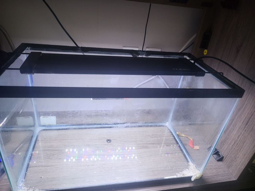 10 Gallon Aquarium with LED Lights (7 color) - photo 4