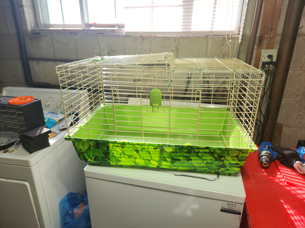 small animal cage thumbnail