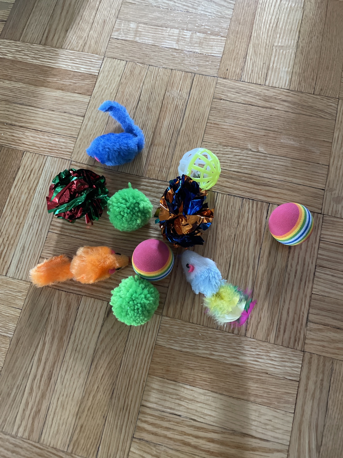 Assorted cat toys thumbnail