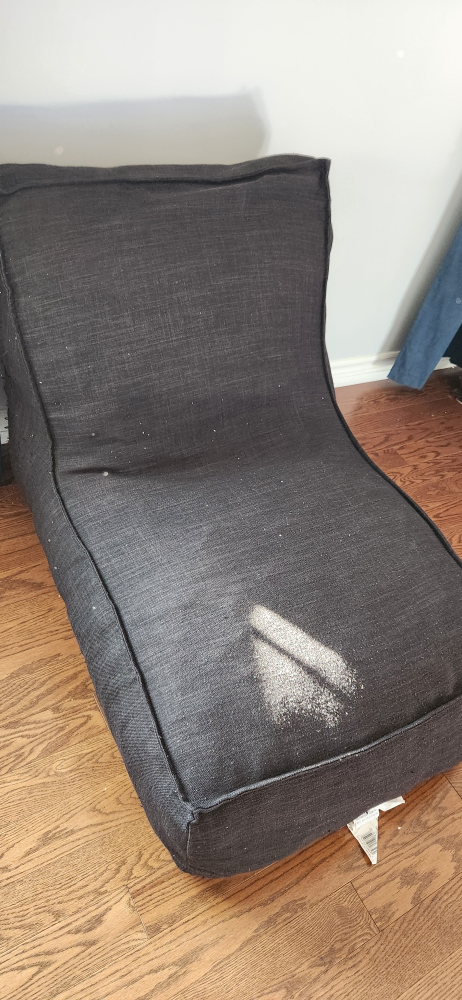 Lounge Stuffed Couch Chairs