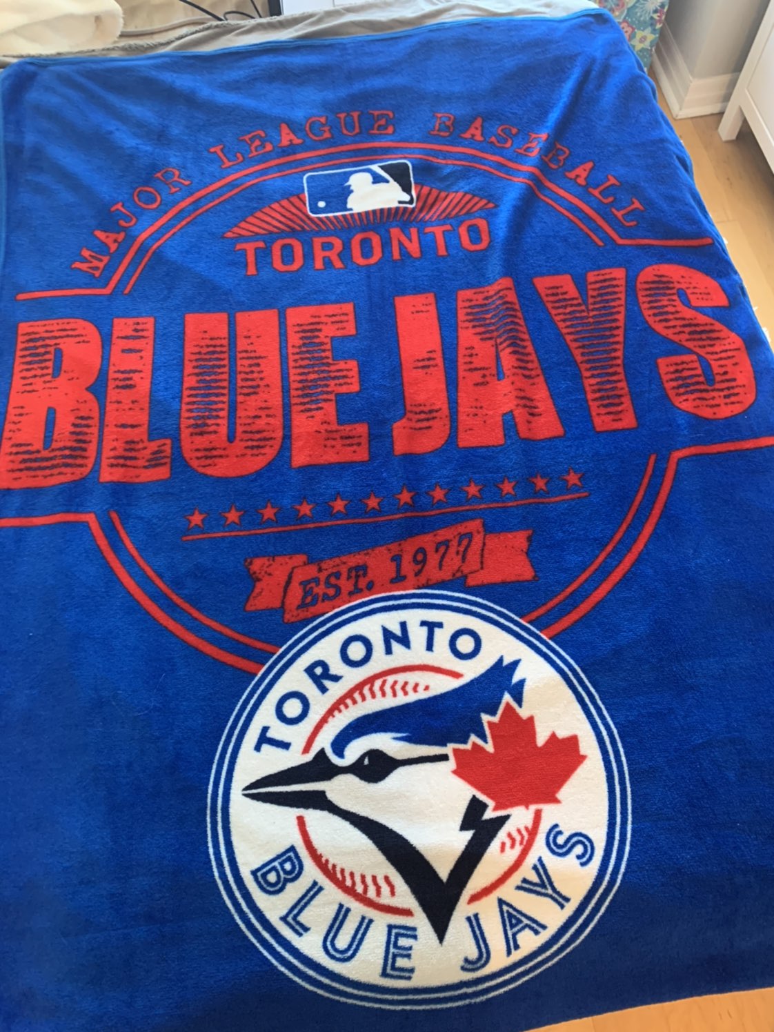 Blue Jays Throw Blanket thumbnail