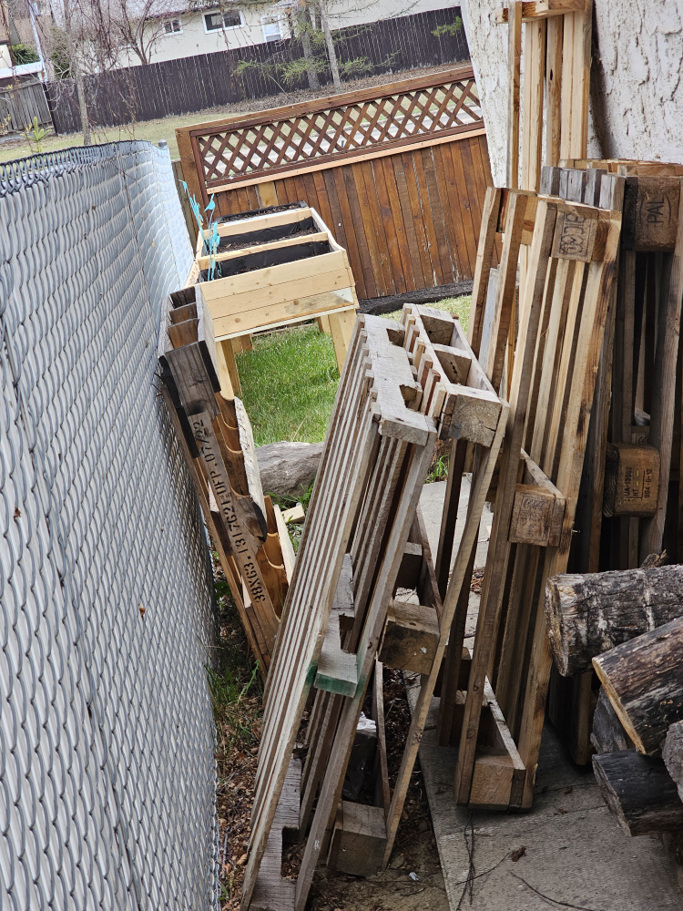 Free wooden pallets